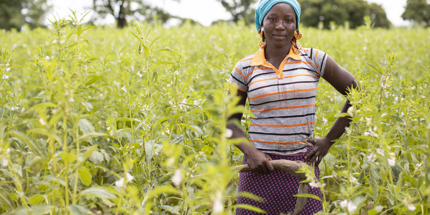 OLVEA-huiles-vegetales-huile-sesame-equitable-ecocert-biologique-cosmetique