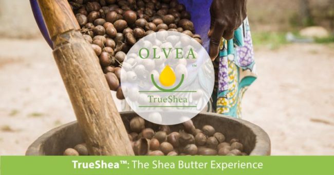 OLVEA – TrueShea natural pure sustainable true shea butter