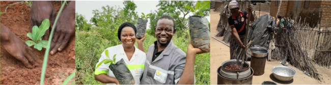 International Day of Forest