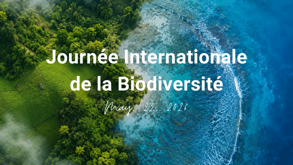 Biodiversité : comment OLVEA agit concrètement à travers ses filières marines et végétales