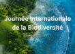 Biodiversité : comment OLVEA agit concrètement à travers ses filières marines et végétales