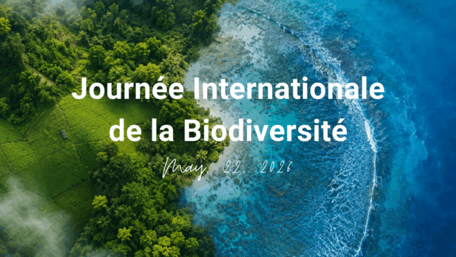 Biodiversité : comment OLVEA agit concrètement à travers ses filières marines et végétales Biodiversité : comment OLVEA agit concrètement à travers ses filières marines et végétales